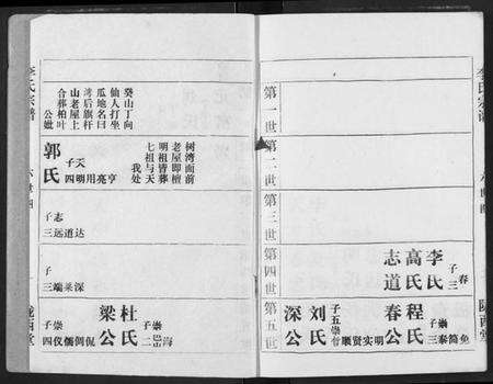 湖北李氏族谱-李氏宗谱.pdf电子版预览图2