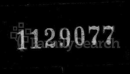 浙江孙氏族谱-阳川孙氏宗谱 [30卷].pdf电子版缩略图