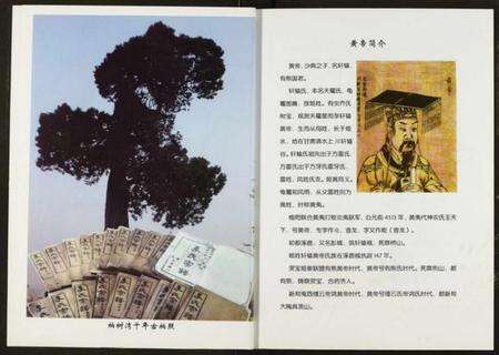 湖北李氏族谱-李氏宗谱.pdf电子版预览图3