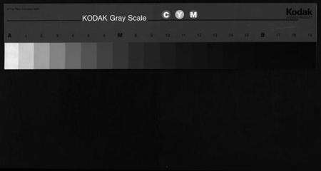 浙江卢氏族谱-雅溪卢氏家乘 [7卷].pdf电子版缩略图