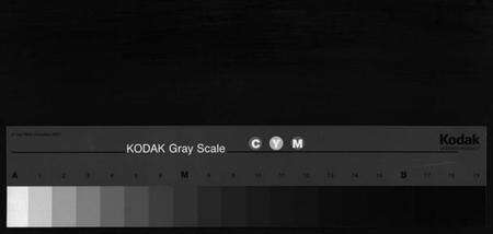 浙江徐氏族谱-双锦徐氏宗谱 [8卷].pdf电子版缩略图