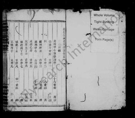 浙江卢氏族谱-雪溪卢氏宗谱 [4卷].pdf电子版预览图2