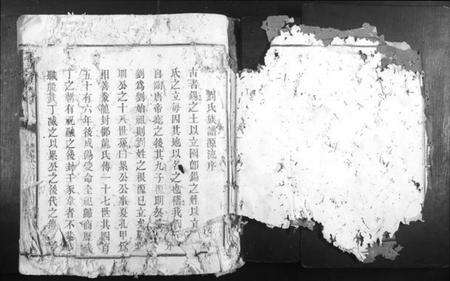 江西刘氏族谱-刘氏三纲堂六修族谱.pdf电子版预览图3