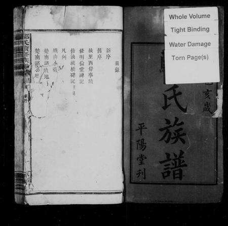 湖南鄢氏族谱-鄢氏续修族谱 [4卷,首1卷].pdf电子版预览图3