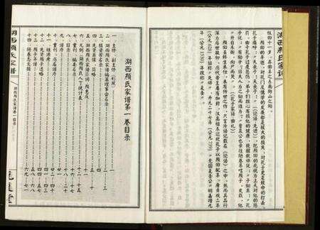 湖南颜氏族谱-湖西颜氏家谱.pdf电子版预览图4