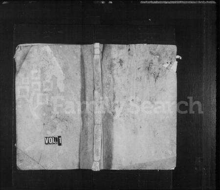 浙江王氏族谱-灵峰王氏宗谱 [7卷].pdf电子版预览图1