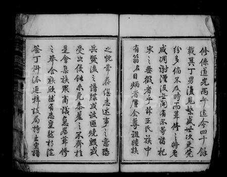 浙江王氏族谱-灵峰王氏家乘 [6卷].pdf电子版预览图5