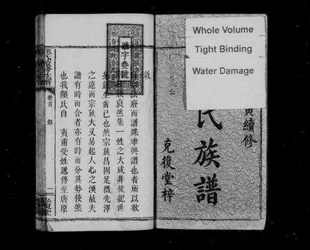 湖南颜氏族谱-颜氏续修族谱 [7卷,含卷首].pdf电子版预览图3