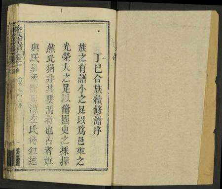 湖北李氏族谱-李氏宗谱 [存18卷, 含西分10卷, 东分5卷, 中分1卷, 细屋分1卷及卷首].pdf电子版预览图1