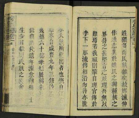 湖北李氏族谱-李氏宗谱 [存18卷, 含西分10卷, 东分5卷, 中分1卷, 细屋分1卷及卷首].pdf电子版预览图3