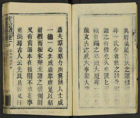 湖北李氏族谱-李氏宗谱 [存18卷, 含西分10卷, 东分5卷, 中分1卷, 细屋分1卷及卷首].pdf电子版预览图4