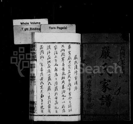 湖南严氏族谱-严氏族谱 [不全].pdf电子版预览图2