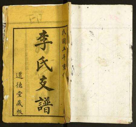 湖北李氏族谱-李氏支谱.pdf电子版缩略图