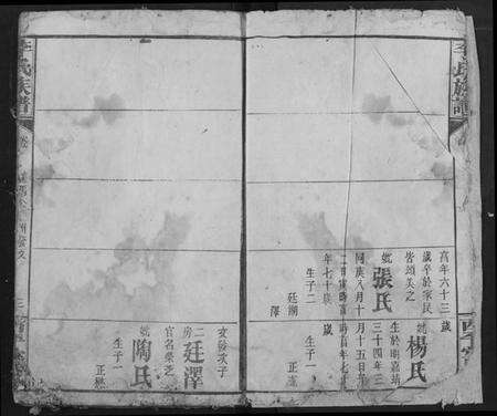 湖北李氏族谱-李氏族谱.pdf电子版预览图4