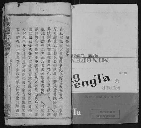 湖北李氏族谱-李氏续修宗谱[28卷].pdf电子版预览图1