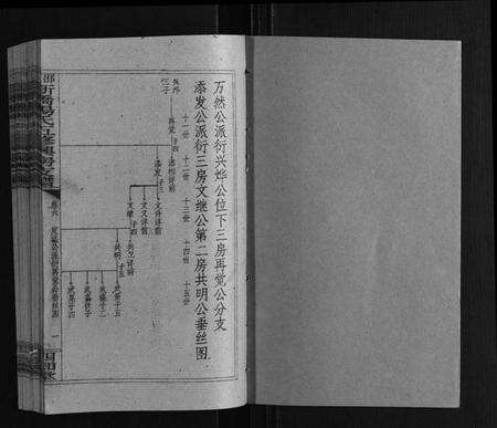 湖南杨氏族谱-新桥杨氏五修兴房支谱[16卷首末各1卷].pdf电子版预览图1