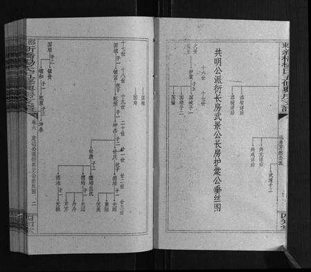 湖南杨氏族谱-新桥杨氏五修兴房支谱[16卷首末各1卷].pdf电子版预览图2