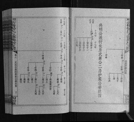 湖南杨氏族谱-新桥杨氏五修兴房支谱[16卷首末各1卷].pdf电子版预览图3