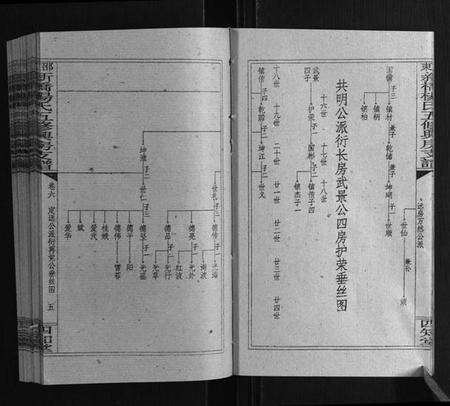 湖南杨氏族谱-新桥杨氏五修兴房支谱[16卷首末各1卷].pdf电子版预览图4