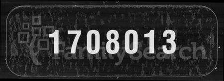 湖北李氏族谱-沔南李氏宗谱 [15卷].pdf电子版缩略图