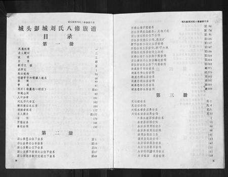 江西刘氏族谱-城头彭城刘氏八修族谱.pdf电子版预览图2