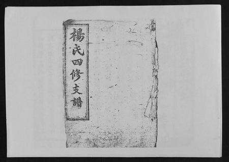 湖南杨氏族谱-杨氏四修支谱 [4卷首末各1卷].pdf电子版缩略图