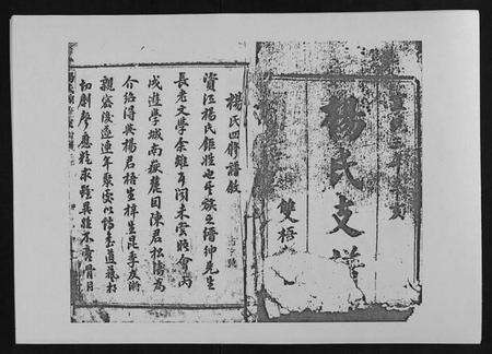 湖南杨氏族谱-杨氏四修支谱 [4卷首末各1卷].pdf电子版预览图1