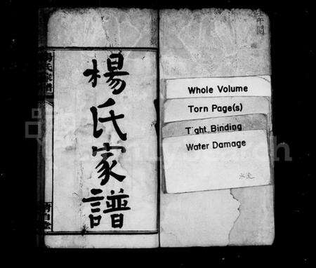 湖南杨氏族谱-杨氏家谱 [32卷,及卷首].pdf电子版预览图2