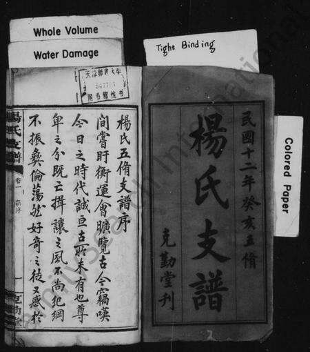 湖南杨氏族谱-杨氏支谱 [10卷].pdf电子版预览图2