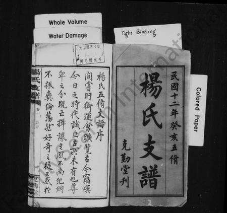 湖南杨氏族谱-杨氏支谱 [10卷].pdf电子版预览图3