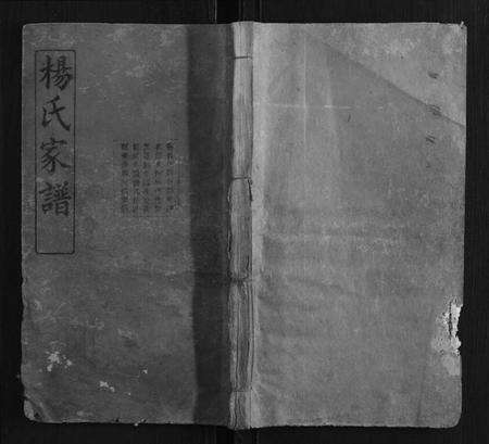 湖南杨氏族谱-杨氏支谱[14卷首末各1卷].pdf电子版缩略图