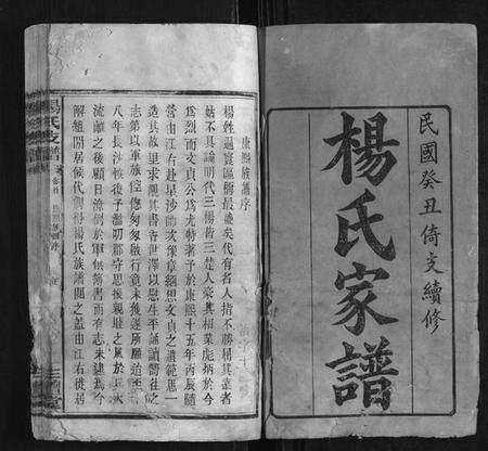 湖南杨氏族谱-杨氏支谱[14卷首末各1卷].pdf电子版预览图1