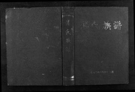 湖南杨氏族谱-杨氏族谱.pdf电子版缩略图