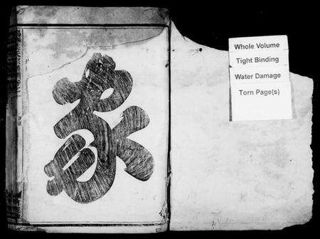 浙江叶氏族谱-马海叶氏宗谱 [13卷].pdf电子版预览图2