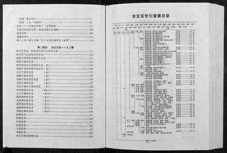 湖南杨氏族谱-杨氏族谱.pdf电子版预览图2