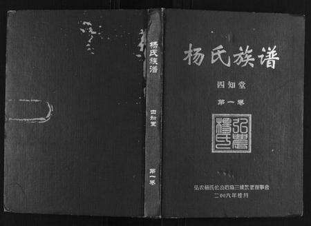 湖南杨氏族谱-杨氏族谱.pdf电子版缩略图