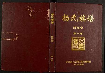 湖南杨氏族谱-杨氏族谱.pdf电子版缩略图