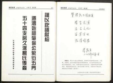 湖南杨氏族谱-杨氏族谱.pdf电子版预览图3