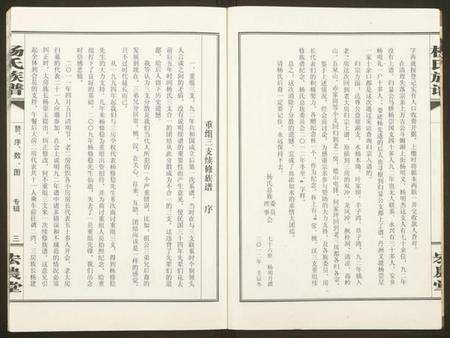 湖南杨氏族谱-杨氏族谱.pdf电子版预览图3