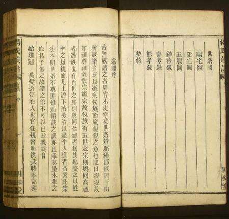 湖南杨氏族谱-杨氏族谱.pdf电子版预览图3