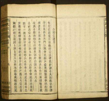 湖南杨氏族谱-杨氏族谱.pdf电子版预览图5