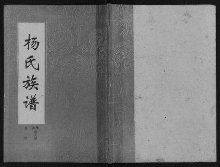 湖南杨氏族谱-杨氏族谱.pdf电子版缩略图