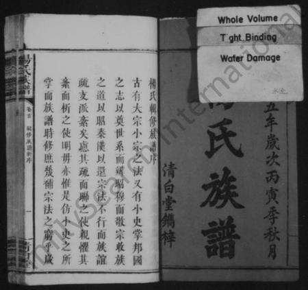 湖南杨氏族谱-杨氏族谱 [10卷,及卷首].pdf电子版预览图3