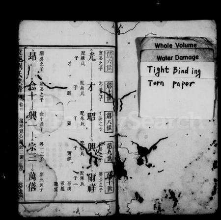 江西刘氏族谱-袁郡刘氏族谱 [残卷].pdf电子版预览图2