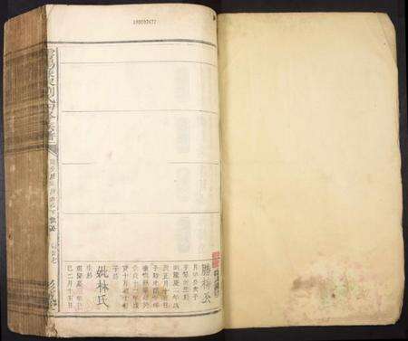 江西刘氏族谱-雪阳廉泉刘氏四修族谱.pdf电子版预览图1