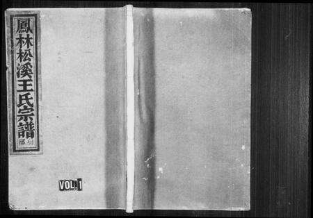 浙江王氏族谱-鳯林松溪王氏宗谱.pdf电子版预览图1