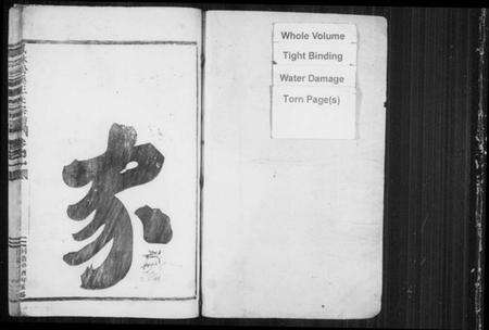 浙江王氏族谱-鳯林松溪王氏宗谱.pdf电子版预览图2