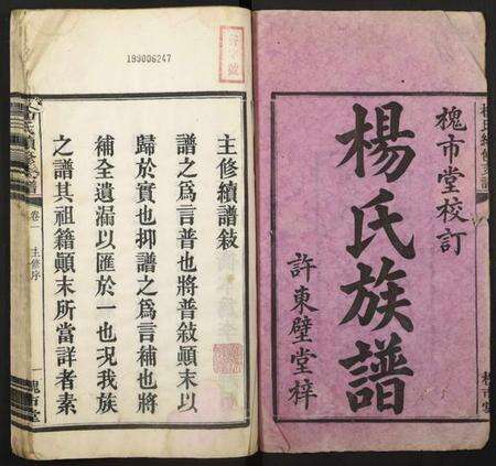 湖南杨氏族谱-杨氏续修支谱.pdf电子版预览图2