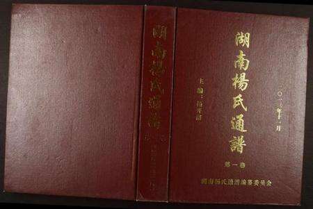湖南杨氏族谱-湖南杨氏通谱.pdf电子版缩略图