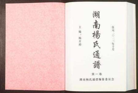 湖南杨氏族谱-湖南杨氏通谱.pdf电子版预览图1